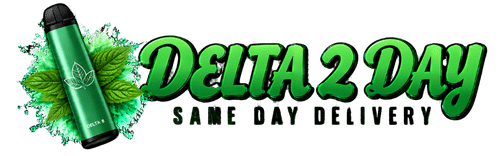 Delta 2 Day logo – Same-Day Alternative Products Delivery in North Metro Atlanta